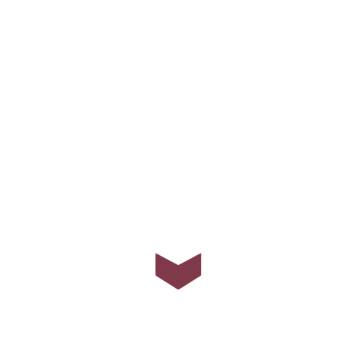 NOIRBERRY | Manufaktur D'or